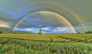 arcobaleno 8 lista